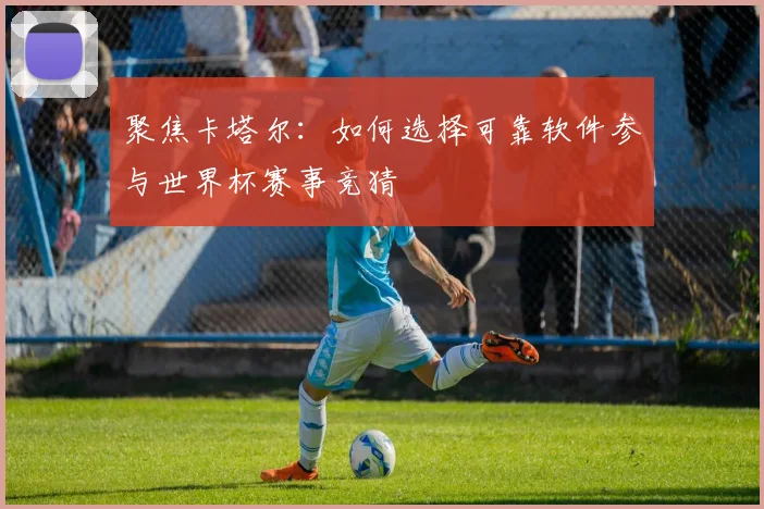 聚焦卡塔尔：如何选择可靠软件参与世界杯赛事竞猜