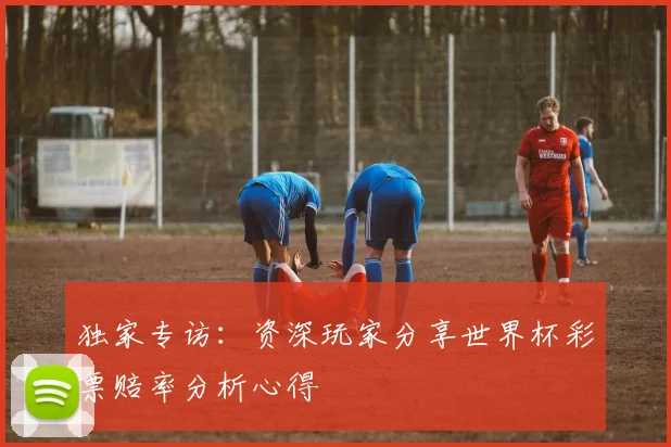 独家专访：资深玩家分享世界杯彩票赔率分析心得