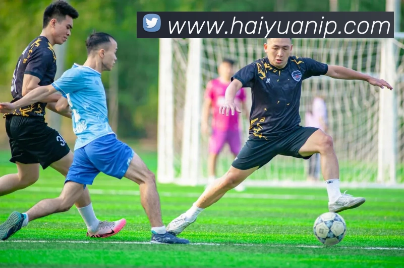 开宝体育app下载官网平台生态图